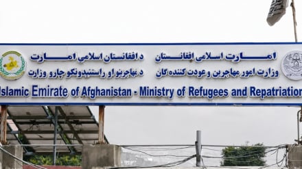 تهیه پیش‌نویس قانون پناهندگی در حکومت طالبان