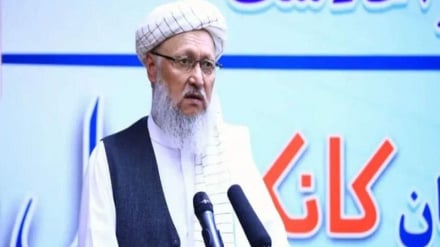 حنفی: بیشترین بودجه حکومت طالبان به بخش آموزش اختصاص دارد
