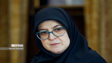 سخنگوی دولت: جنوب ایران، قلب تپنده این سرزمین است