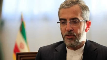 Baqeri Kani: El estrecho de Ormuz es el factor determinante del destino del pueblo de Irán