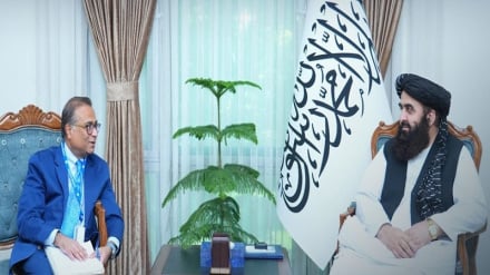 تأکید نماینده جدید سازمان ملل بر ادامه فعالیت‌های انکشافی در افغانستان