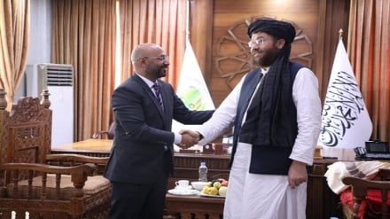  تاکید افغانستان و ترکیه بر گسترش روابط تجاری و همکاری زراعتی