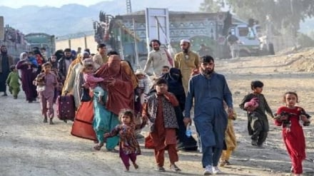 موج بزرگ اخراج؛ بازگشت اجباری ۶۶ هزار افغان از پاکستان