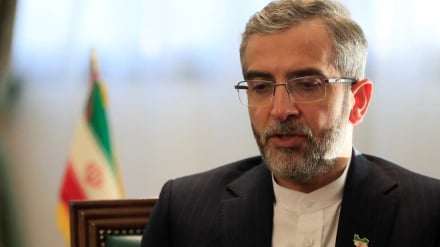 باقری کنی : تنگه هرمز عامل تعیین سرنوشت مردم ایران است