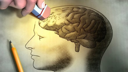 Anda Hafal Berapa Nomor Telepon Tanpa Ponsel? Ini Dia 'Digital Amnesia'!