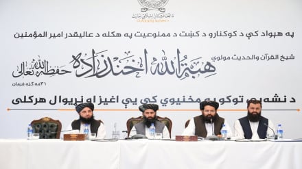وزارت خارجه طالبان: مبارزه با مواد مخدر مسئولیت همگانی است
