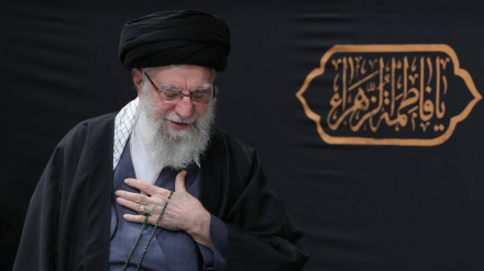 محفل بزرگداشت امام شهید در مزار شریف،واکنشها به اظهارات استراتژیست پاکستانی و دیجیتال سازی صدها نسخه خطی