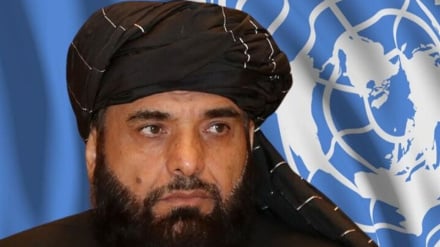   د ملګرو ملتواستازې دې نړۍ ته د افغانستان ریښتینی انځور وړاندې کړي 