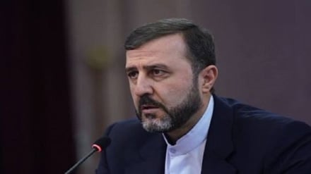 Гариб-Абади: Мы приостановили выполнение наших обязательств по Исламабадскому меморандуму