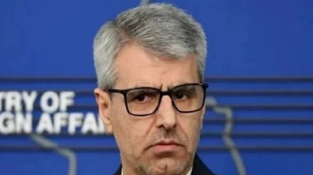 Baqai: Irán es un cuerpo interconectado