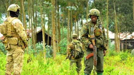 Raia 114 wauawa mashariki mwa Kongo mwezi Juni 
