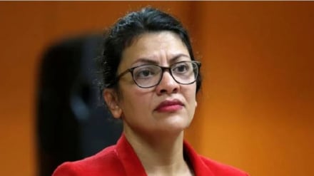 Congresista demócrata: EEUU no debería gastar ni un solo centavo en el genocidio cometido por Israel