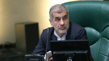 Nikzad: El Imam Jamenei es el símbolo de la independencia del pueblo iraní