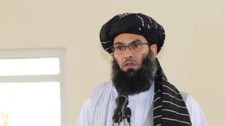 خالد حنفی: طالبان در چارچوب شریعت مدافع حقوق زنان است