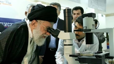 Royan Araştırma Enstitüsü Başkanı: Şehit lider, 