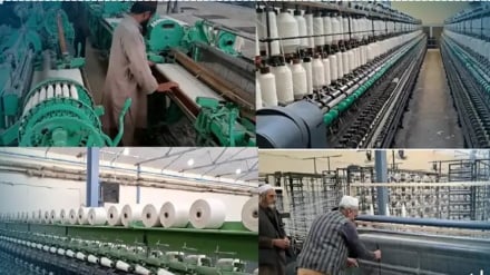 طالبانو هېواد ته د ۸۱ سوداګرو او صنعتکارانو د بېرته ستنېدو خبر ورکړی دی.