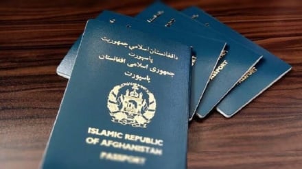 توزیع بیش از ۶۵۰ هزار جلد پاسپورت در یک سال؛ روند صدور اسناد هویتی تسهیل شد