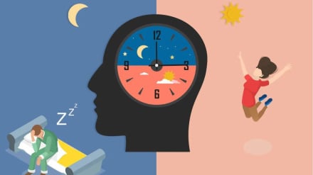 Jam Biologis: Mengapa Tubuh Tahu Waktu Tanpa Alarm?