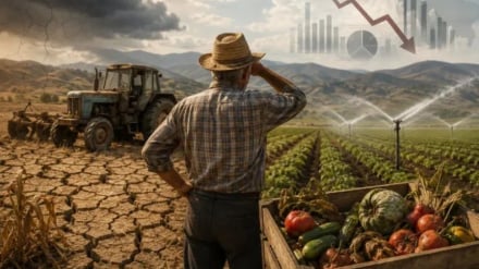  Հայաստանի գյուղատնտեսությունը կանգնած է հսկայական կորուստների առաջ. տնտեսագետ