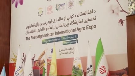 حضور شرکت‌های ایرانی در نمایشگاه زراعت افغانستان