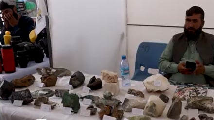 زابل کې د کرنیزو محصولاتو درې ورځنی نندارتون پرانیستل شو + غږیز را پور