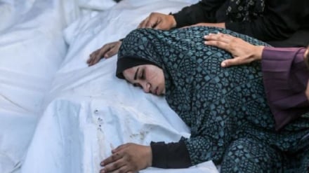 Continúan los ataques israelíes en varias zonas de Gaza / Siete palestinos mártires