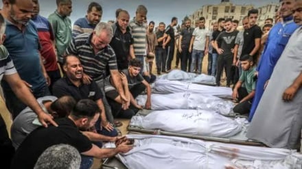 Ultimi dati del genocidio di Gaza (ultimo aggiornamento il 17 agosto): 73.399 martiri, 174.310 feriti