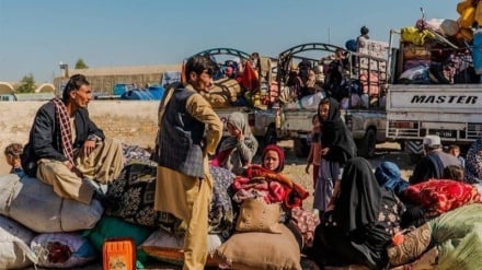 بازگشت بیش از ۲ هزار مهاجر افغان از ایران و پاکستان به وطن
