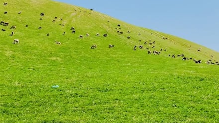 کندوز کې د ۳ زره استوګنیزو کورونو ښارګوټی جوړېږي