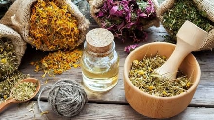 Perdagangan Iran dan Eurasia Tumbuh 22 Persen
