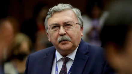 Ульянов высмеял заявление Трампа об Ормузском проливе