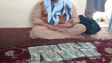 قاچاقچی دلار در مرز ایران و افغانستان بازداشت شد