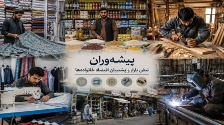 پیشه‌وری در هرات؛ از تأمین نیازهای روزمره مردم تا ایجاد فرصت‌های تازه اقتصادی