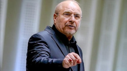 Реакция Галибафа на заявления Скотта Безанта: «Ты лжец!»