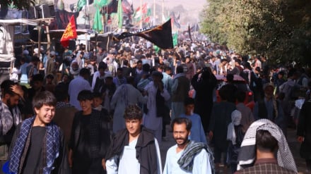 په افغانستان  کې د امام حسین(ع) د اربعین ولولناکې دستورې ترسره شوې 