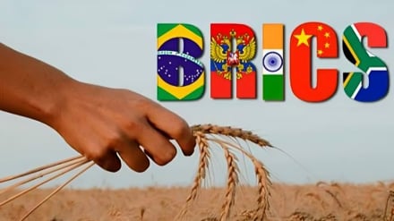 Satelit dan AI: Senjata Baru Petani BRICS Lawan Krisis Pangan
