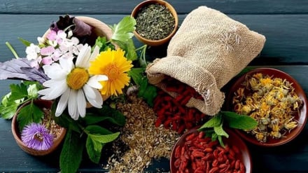 Apotek Tradisional Iran: Dari Disiplin Baru ke Pengakuan Ilmiah Global