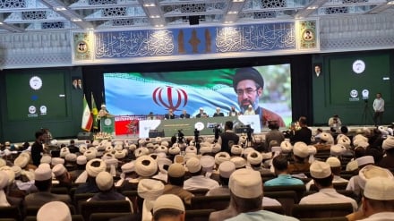 استاد دانشگاه کراچی: وحدت علمی و فکری مسلمانان، ضرورتی برای مقابله با اسلام‌هراسی است