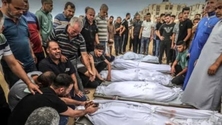 Ultimi dati del genocidio di Gaza (ultimo aggiornamento il 29 agosto): 73.499 martiri, 174.472 feriti