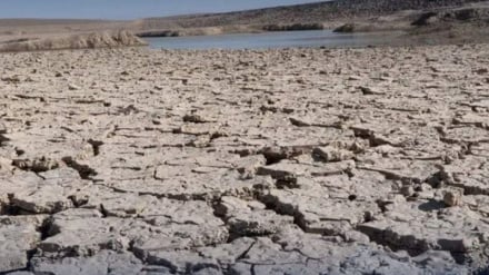 توافق بر سر اجرای پروژه ۸ میلیون پوندی بریتانیا برای حمایت از زراعت و معیشت در افغانستان