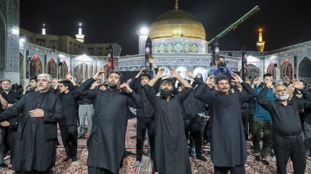 جلوه‌گری پیوندهای معنوی عمیق ملت‌های منطقه در سالروز شهادت امام رضا (ع)