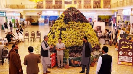 مجله اقتصادی، برگزاری نخستین نمایشگاه بین المللی تولیدات زراعتی و مالداری در کابل 23 05 1405