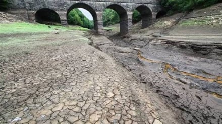 英国约四分之三地区遭遇干旱