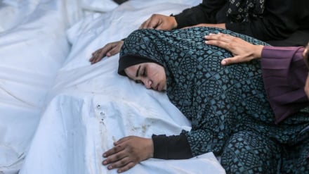 Rentetan Serangan di Gaza; Tujuh Syahid, Lima di Kota Gaza
