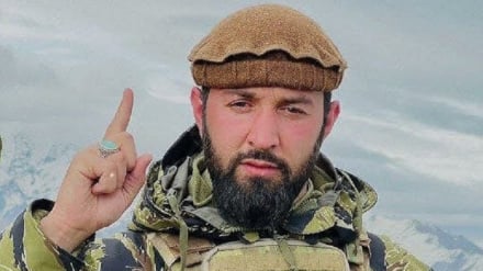«حسیب پنجشیری» به دست نیروهای طالبان کشته شد