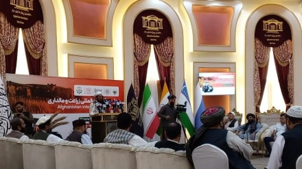 په نږدې راتلونکي کې په کابل کې د کرنې او مالدارۍ نړیوال نندارتون جوړیږي+راپور
