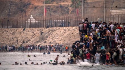 Dari Medsos ke Perbatasan; Bagaimana Hoaks Picu Lompatan Massal ke Ceuta