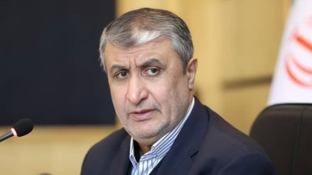Глава Организации по атомной энергии Ирана: Инспекция поврежденных объектов осуществляется в соответствии с новым протоколом