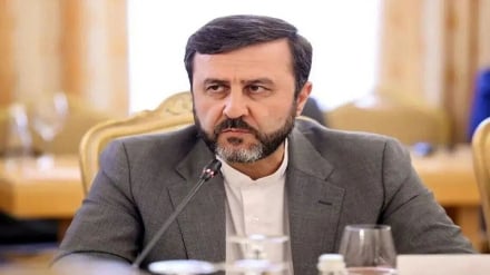 Гариб-Абади: По мнению психологов, Трамп — пациент, за которым следует наблюдать