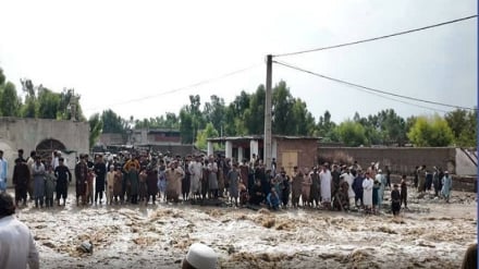 تلفات و خسارات سیل روز جمعه در ننگرهار